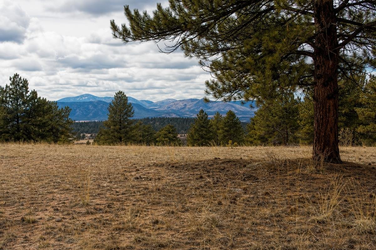 How to Buy Land and Build a House in Colorado Springs